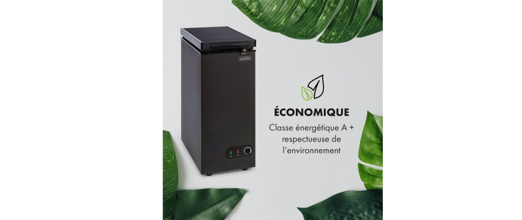 meilleur congélateur économique